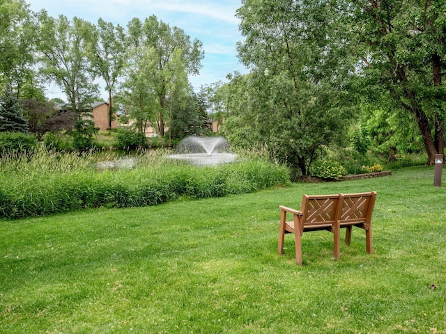 10 Windsor Ct Unit 205, New Brighton, MN 55112 - view of grassy yard