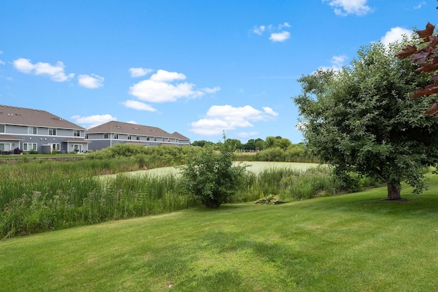 13019 Brookside Ln N, Rogers, MN 55374 - view of grassy yard