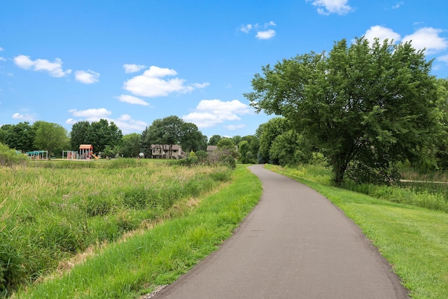 13019 Brookside Ln N, Rogers, MN 55374 - view of community