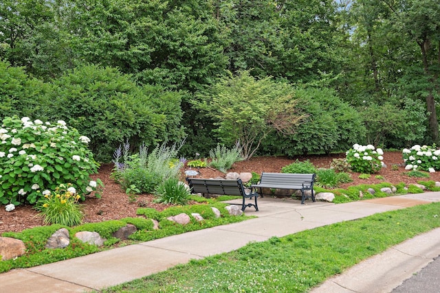 13019 Brookside Ln N, Rogers, MN 55374 - view of property's community
