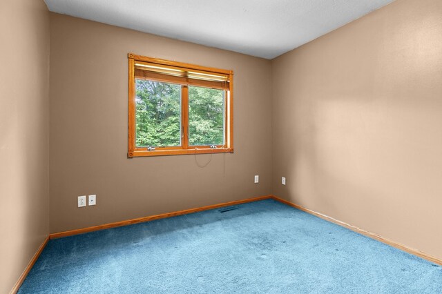 541 Woodland Trl, Medford, MN 55049 - photo 32