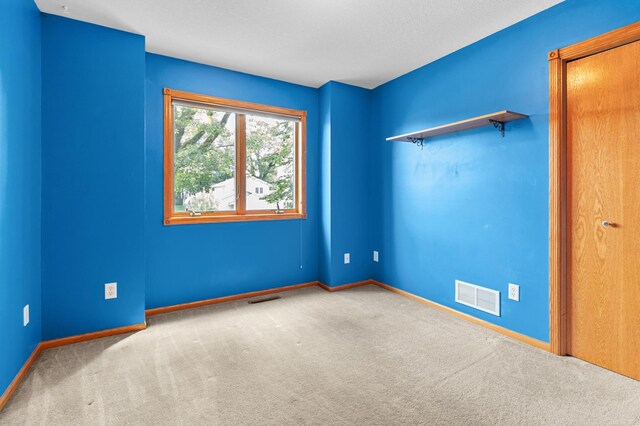 541 Woodland Trl, Medford, MN 55049 - photo 34