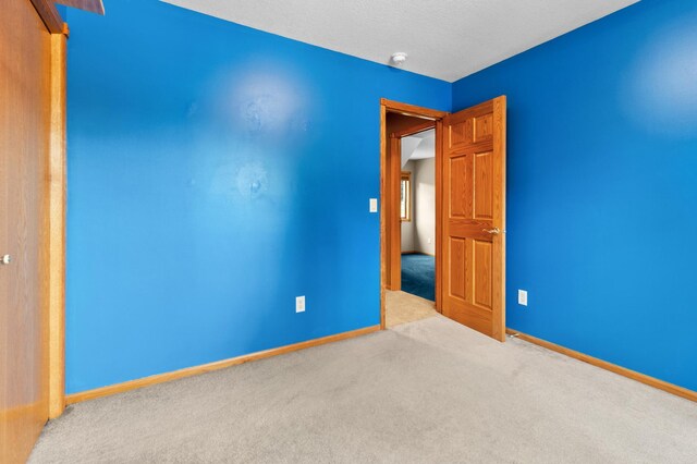 541 Woodland Trl, Medford, MN 55049 - photo 35