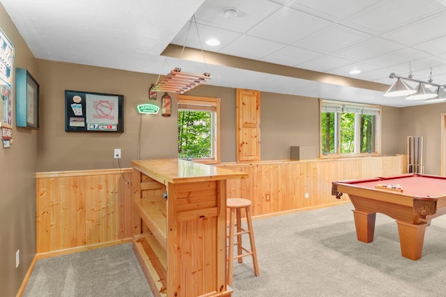 541 Woodland Trl, Medford, MN 55049 - photo 38