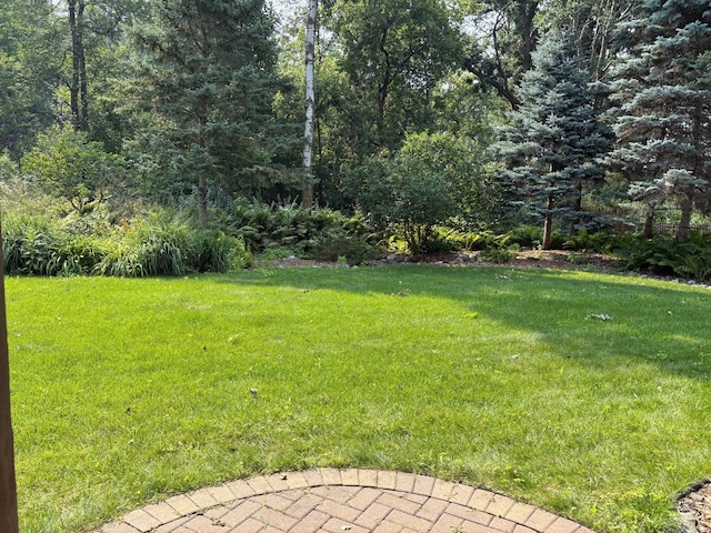 3633 Oak Creek Ter, Vadnais Heights, MN 55127 - photo 5