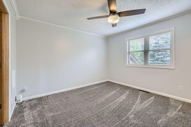 700 206th Ave NW, Oak Grove, MN 55011 - photo 11