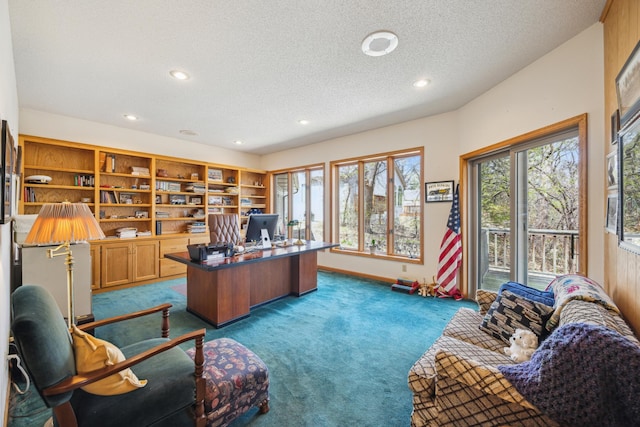 1181 12th Ave NW, New Brighton, MN 55112 - office with dark colored carpet, a textured ceiling, and recessed lighting