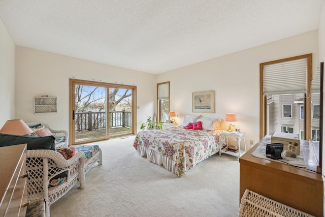 1181 12th Ave NW, New Brighton, MN 55112 - carpeted bedroom with access to outside and a textured ceiling