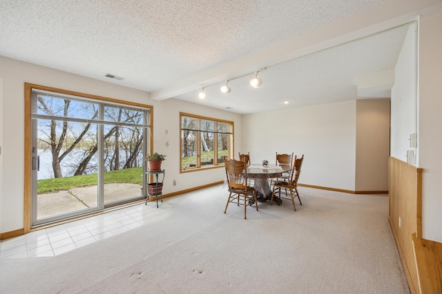 1181 12th Ave NW, New Brighton, MN 55112 - dining room featuring carpet flooring, a textured ceiling, a water view, and rail lighting