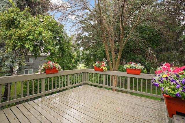 5661 Windmill Dr, White Bear Twp, MN 55110 - view of deck