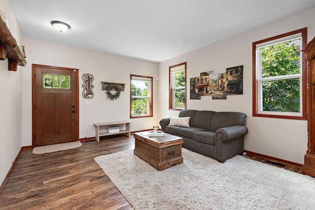 11608 21st St NE, Saint Michael, MN 55376 - living area featuring dark wood finished floors and baseboards