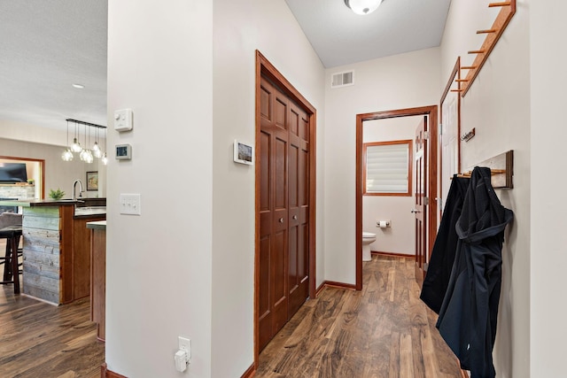11608 21st St NE, Saint Michael, MN 55376 - hallway with dark wood finished floors and a chandelier