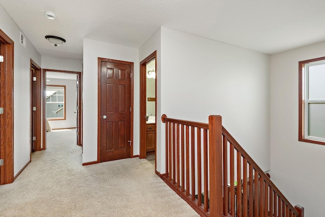 11608 21st St NE, Saint Michael, MN 55376 - hall with an upstairs landing and carpet flooring