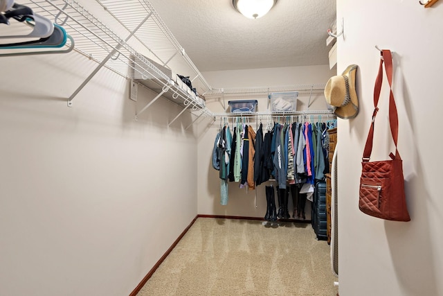 11608 21st St NE, Saint Michael, MN 55376 - walk in closet featuring carpet flooring