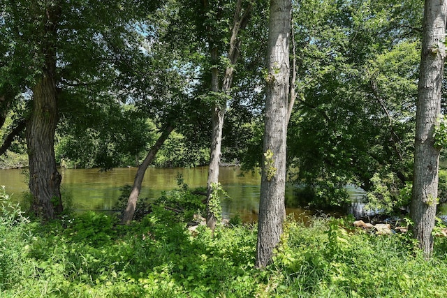 11608 21st St NE, Saint Michael, MN 55376 - view of nature featuring a nearby body of water