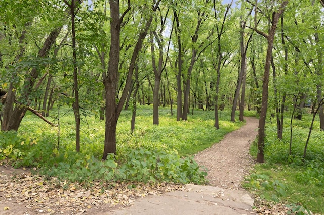 2265 Youngman Ave Unit 207E, Saint Paul, MN 55116 - view of wooded area