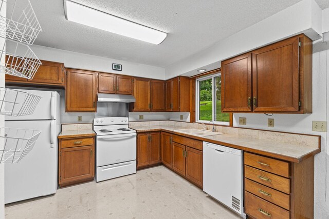 207 4th Ave NE, Hutchinson, MN 55350 - photo 6