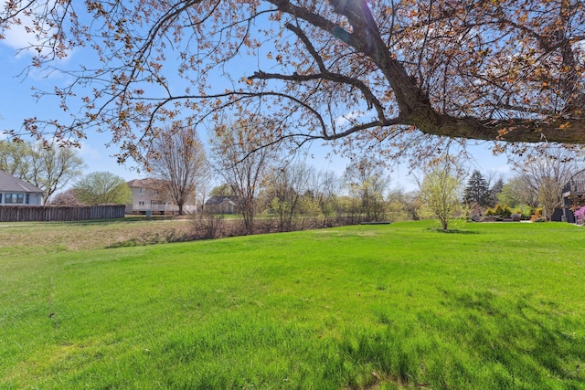 8700 Kilbirnie Ter, Brooklyn Park, MN 55443 - view of yard