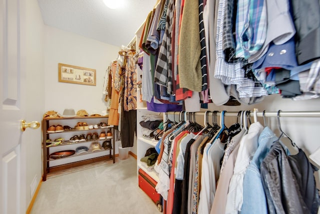 17980 69th Pl N, Maple Grove, MN 55311 - spacious closet featuring carpet