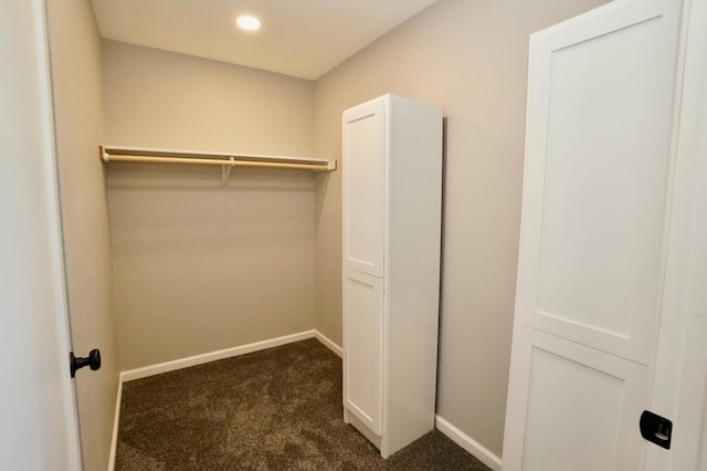 1722 41st Ave NE, Dovre Twp, MN 56201 - view of closet