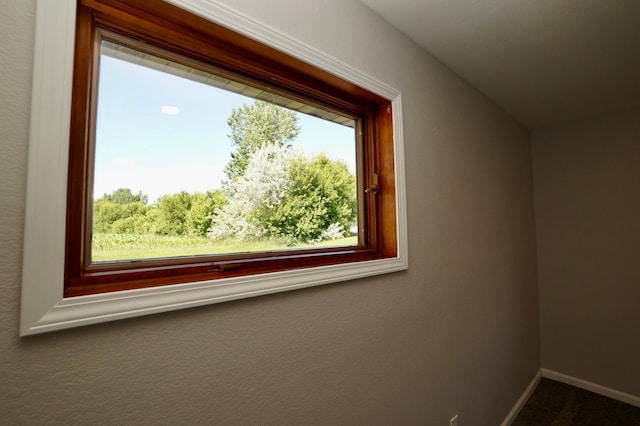 1722 41st Ave NE, Dovre Twp, MN 56201 - bonus room with baseboards and carpet floors