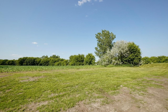 1722 41st Ave NE, Dovre Twp, MN 56201 - view of green lawn with a view of rural / pastoral area