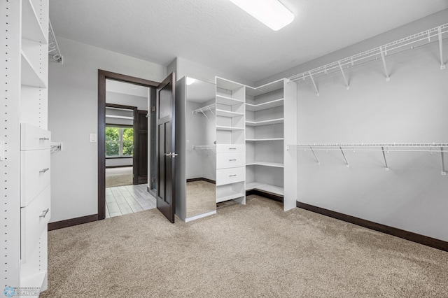 3702 Houkom Dr E, Fargo, ND 58078 - walk in closet with carpet floors
