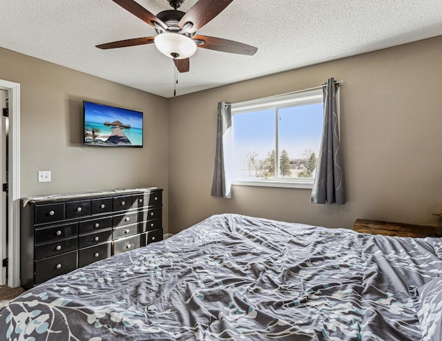 230 Newspaper Run NE, Kimball, MN 55353 - bedroom with a textured ceiling and a ceiling fan