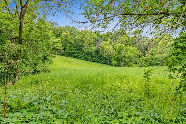 2565 Highland Rd, Minnetrista, MN 55359 - view of yard with a view of trees