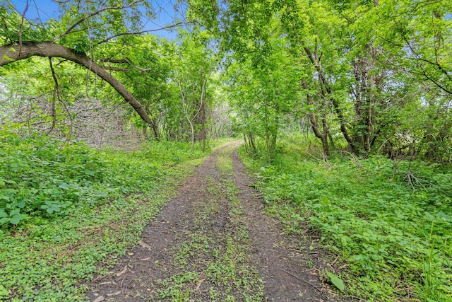2565 Highland Rd, Minnetrista, MN 55359 - view of dirt / gravel road with a view of trees