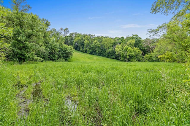 2565 Highland Rd, Minnetrista, MN 55359 - view of wooded area