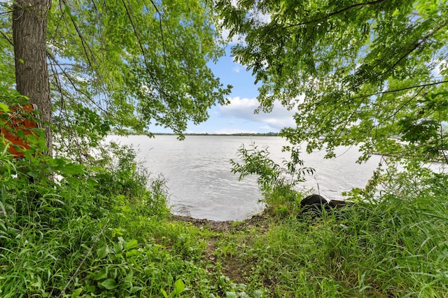 19172 Front Blvd NE, East Bethel, MN 55092 - water view