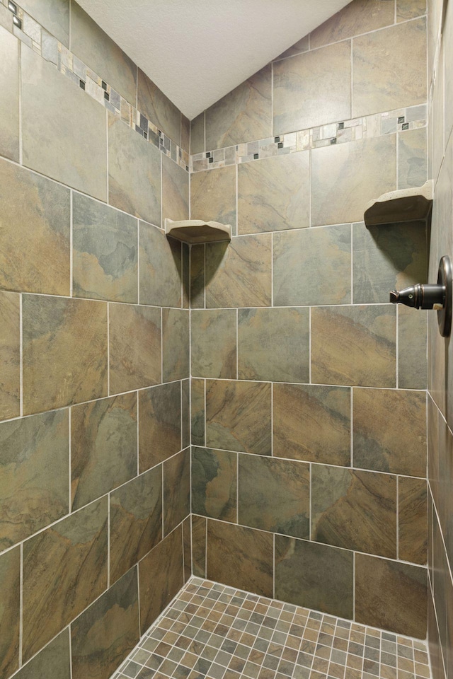 98 Tribute Ave, Hudson, WI 54016 - bathroom with a tile shower