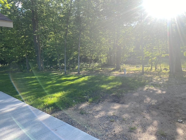3450 23rd Ave NW, Hackensack, MN 56452 - photo 2