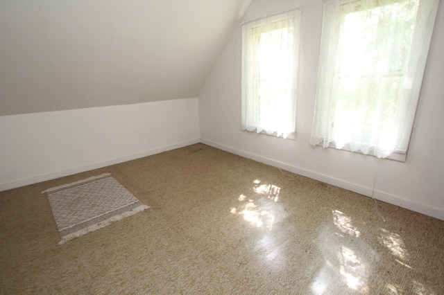 24195 Center St E, Mayfield Twp, MN 56701 - bonus room featuring lofted ceiling and baseboards