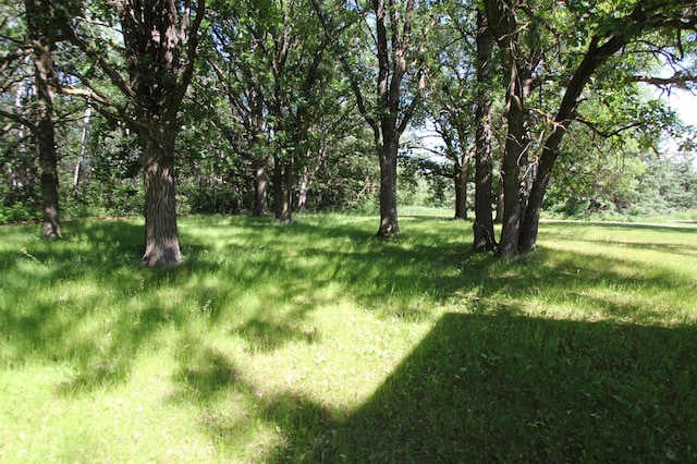 24195 Center St E, Mayfield Twp, MN 56701 - view of yard