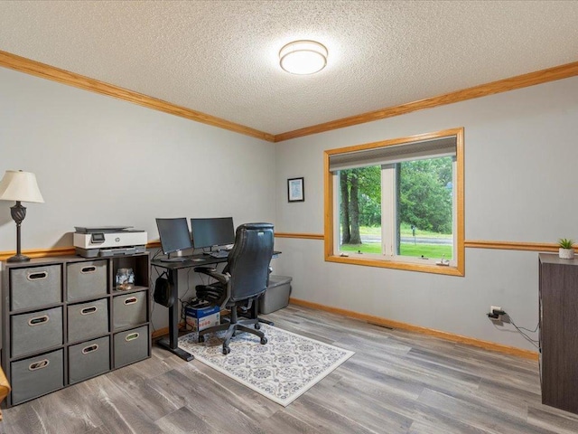 4669 Brentwood Rd, Baxter, MN 56425 - office space featuring ornamental molding, a textured ceiling, and wood finished floors