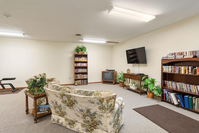 1200 18th Ave NW Unit 132, Austin, MN 55912 - living area with carpet floors and baseboards