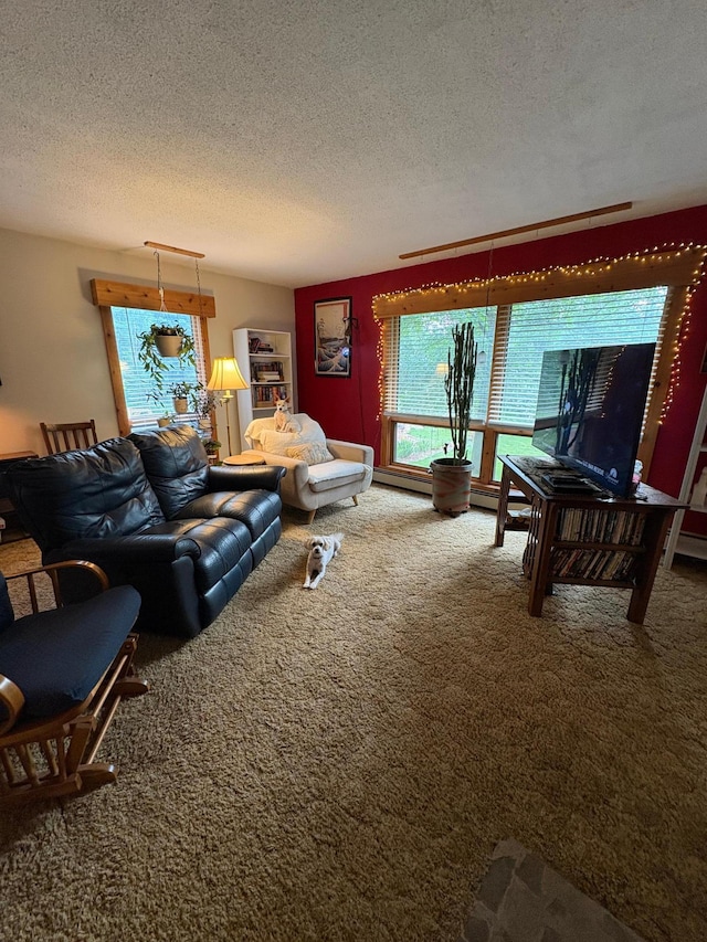 20542 Wendigo Park Rd, Grand Rapids, MN 55744 - photo 6