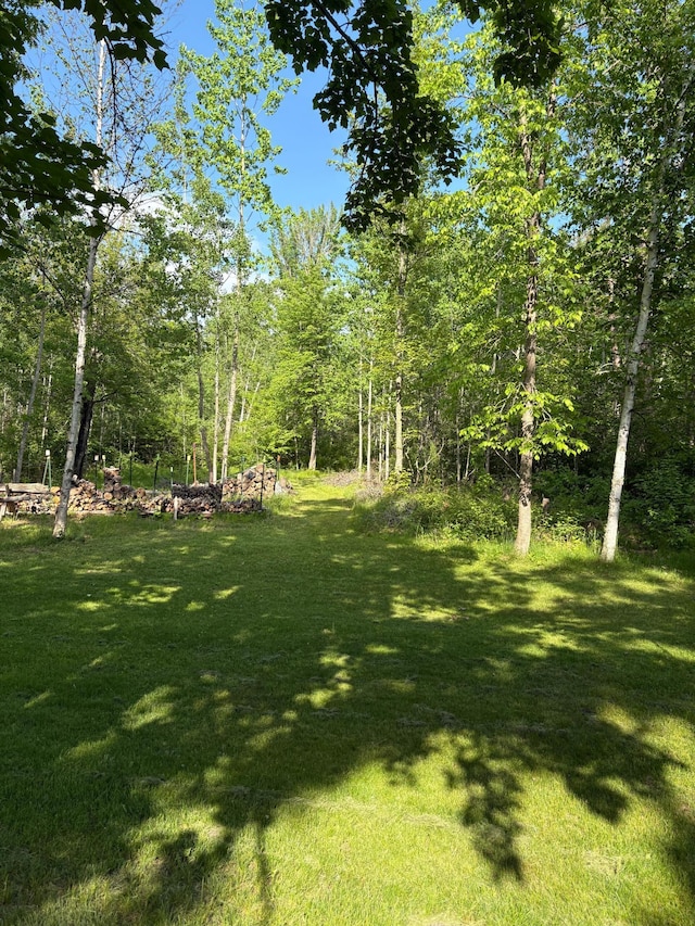 20542 Wendigo Park Rd, Grand Rapids, MN 55744 - photo 22