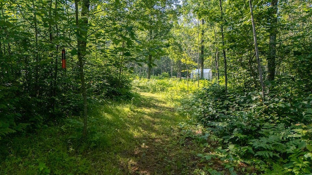 20542 Wendigo Park Rd, Grand Rapids, MN 55744 - photo 40
