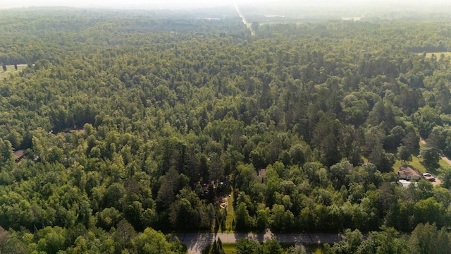20542 Wendigo Park Rd, Grand Rapids, MN 55744 - photo 45