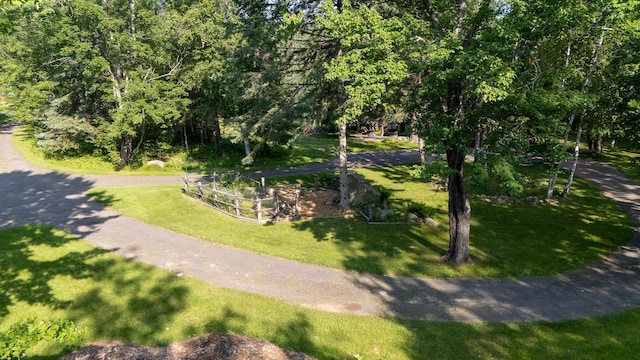 20542 Wendigo Park Rd, Grand Rapids, MN 55744 - photo 46