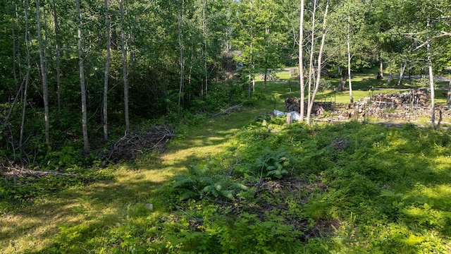 20542 Wendigo Park Rd, Grand Rapids, MN 55744 - photo 50