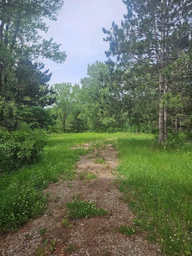 44985 400th Ave, Edna Twp, MN 56573 - photo 3