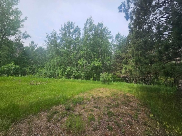 44985 400th Ave, Edna Twp, MN 56573 - photo 4