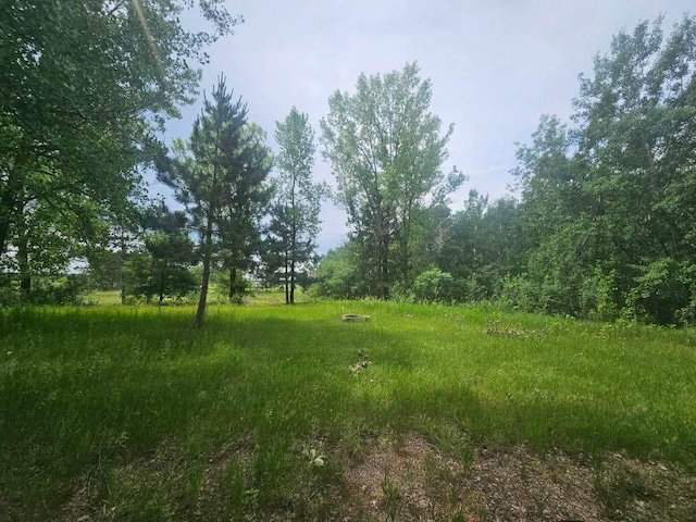44985 400th Ave, Edna Twp, MN 56573 - photo 6