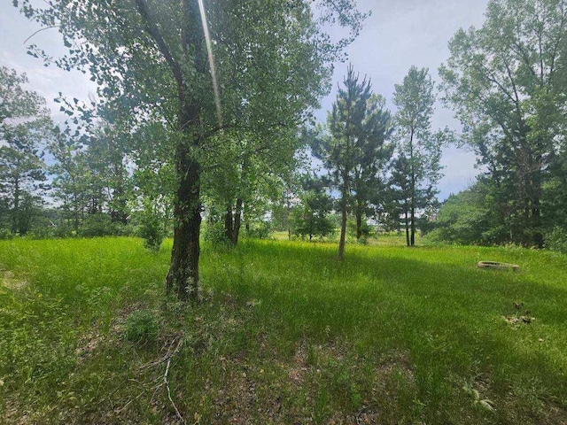 44985 400th Ave, Edna Twp, MN 56573 - photo 7