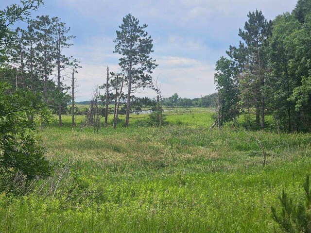 44985 400th Ave, Edna Twp, MN 56573 - photo 9