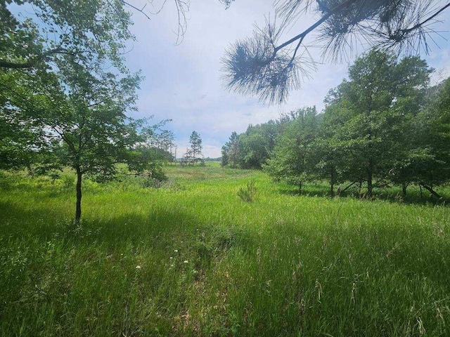 44985 400th Ave, Edna Twp, MN 56573 - photo 11